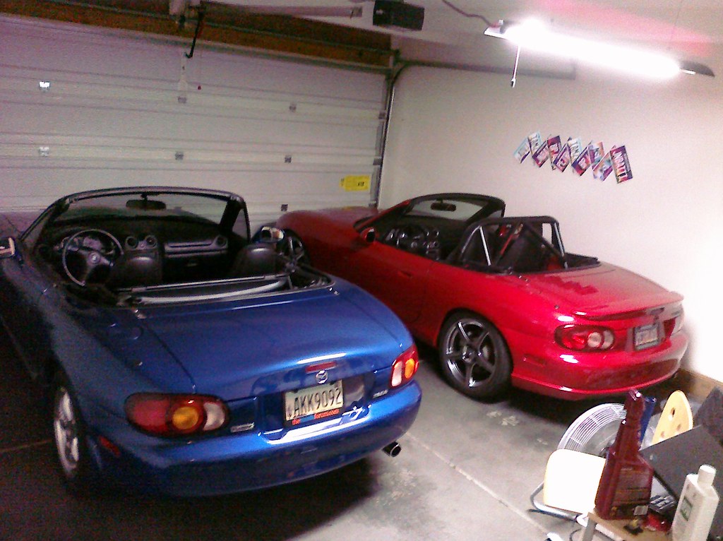 4532869015_fc9f5d9279_b.jpg