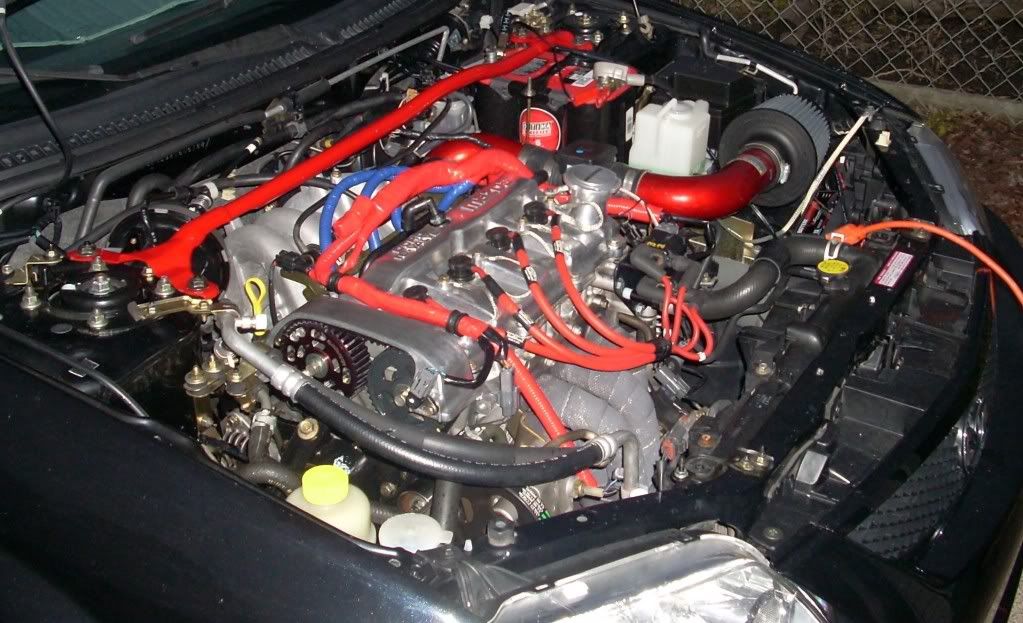 DSCN1104.jpg