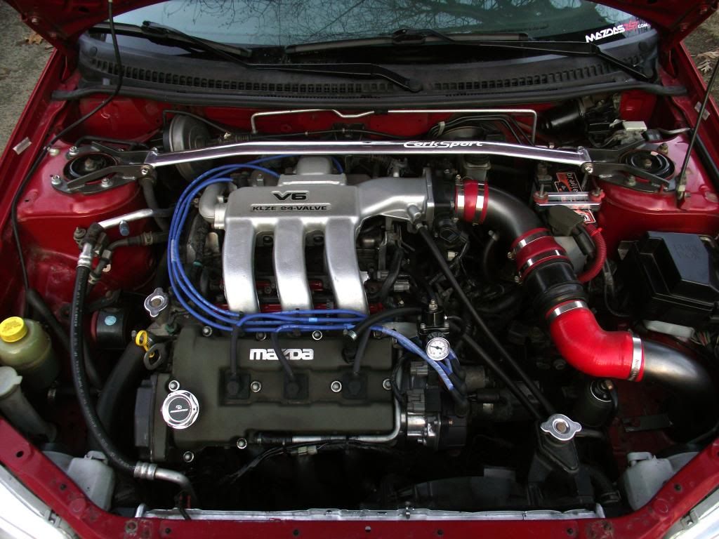 motmmarcheng_zpsc54a8b65.jpg