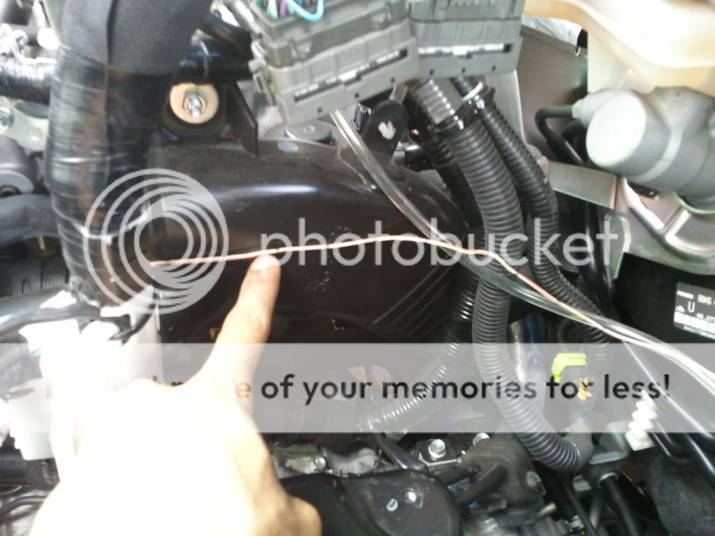 2011-03-26160738.jpg