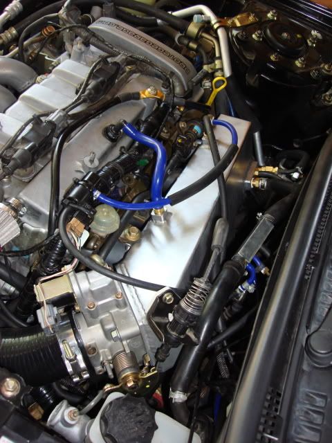 DSC02265.jpg