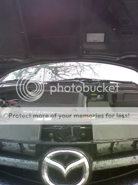 12242008001.jpg