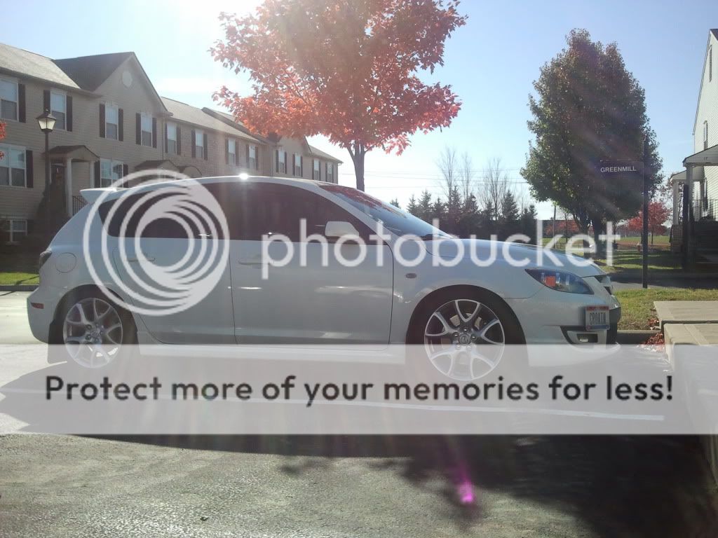 2011-11-05113216.jpg