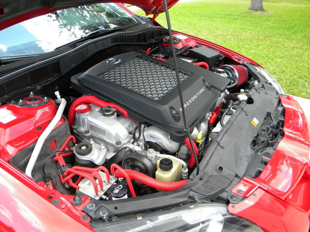 DSCN2106.jpg