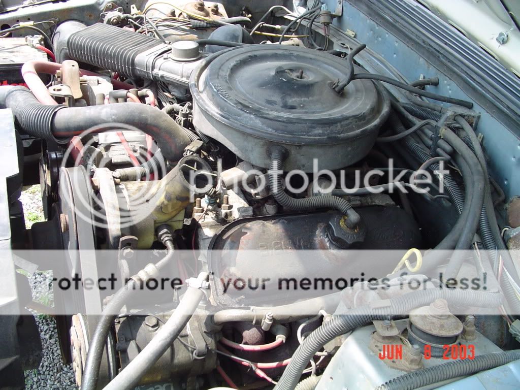 1984Mustang98.jpg