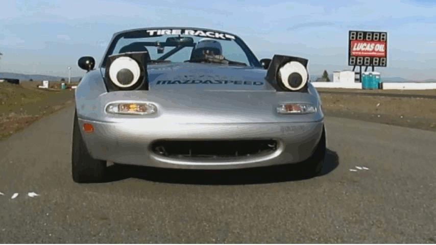 N8339Er.gif