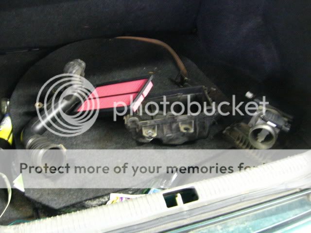 IMG_1433.jpg