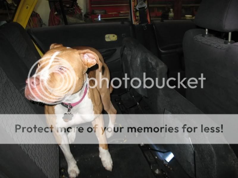 IMG_6179800x600.jpg