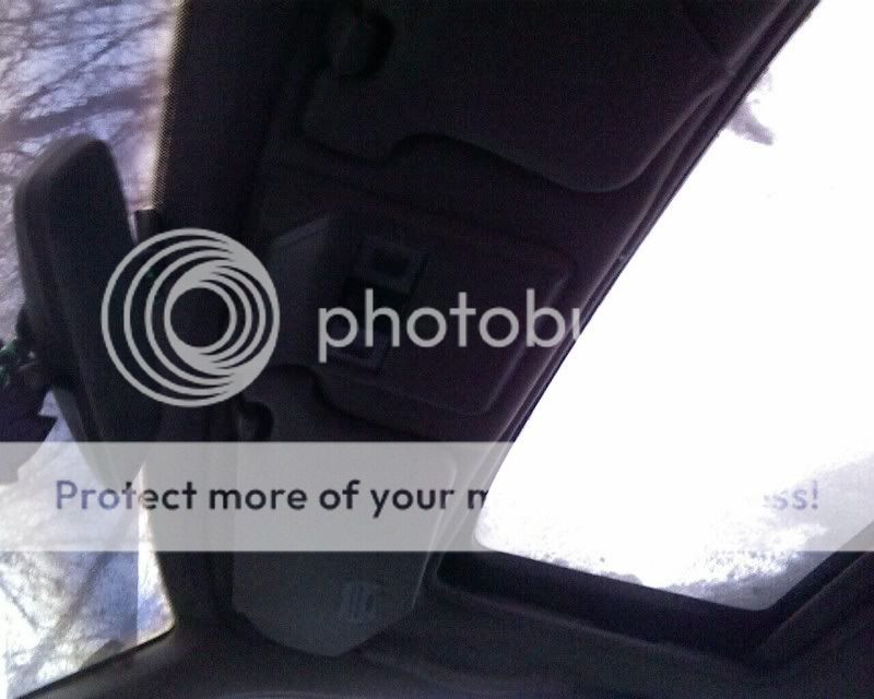 1262832875.jpg