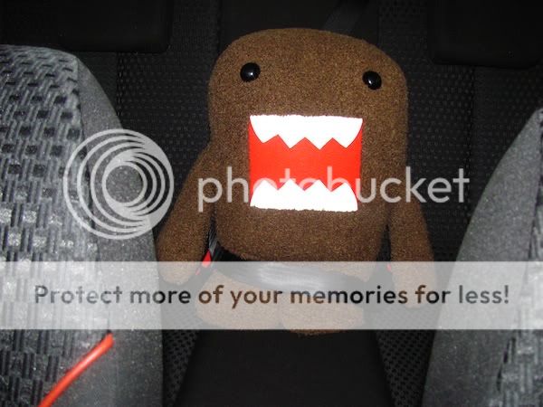 domo-backseat.jpg