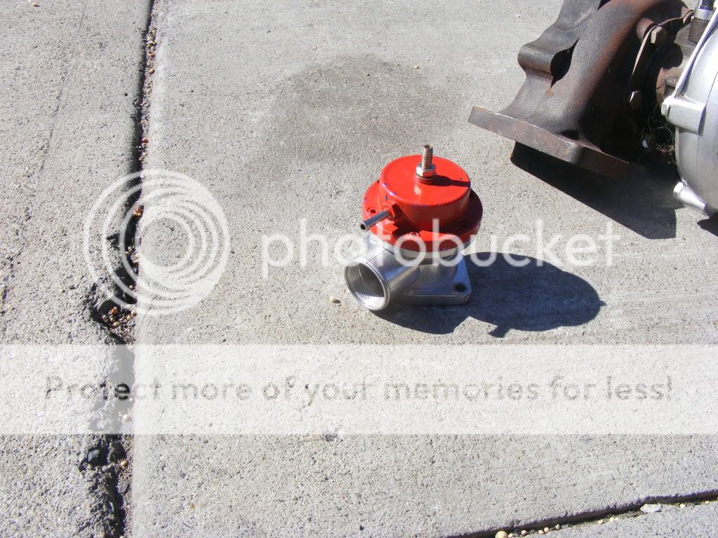 DSCF2028.jpg