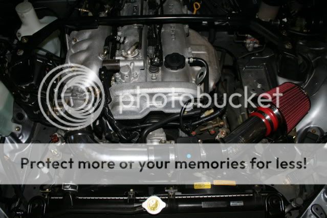 IMG_8352.jpg
