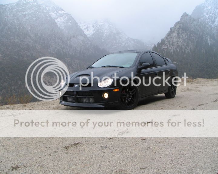 srtforums.jpg