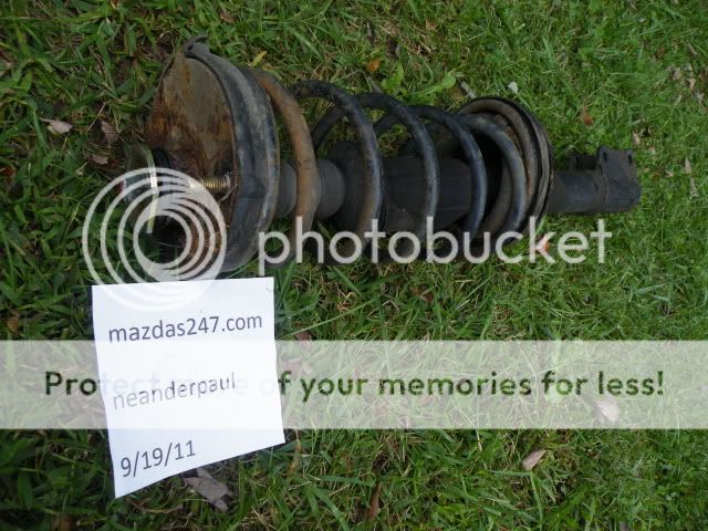 D5partdeux041.jpg