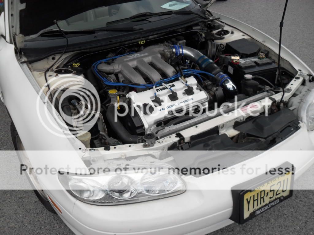 SDC11739.jpg