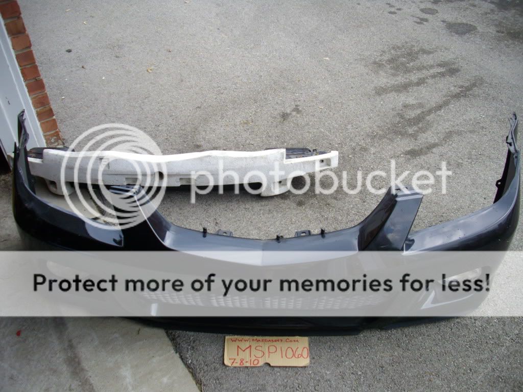 IMGP7101.jpg