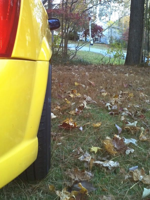 IMG_20111106_171404.jpg