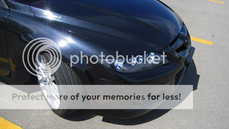 IMG_7524COPY.jpg