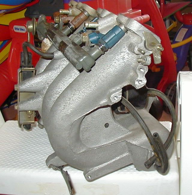 imf06.jpg