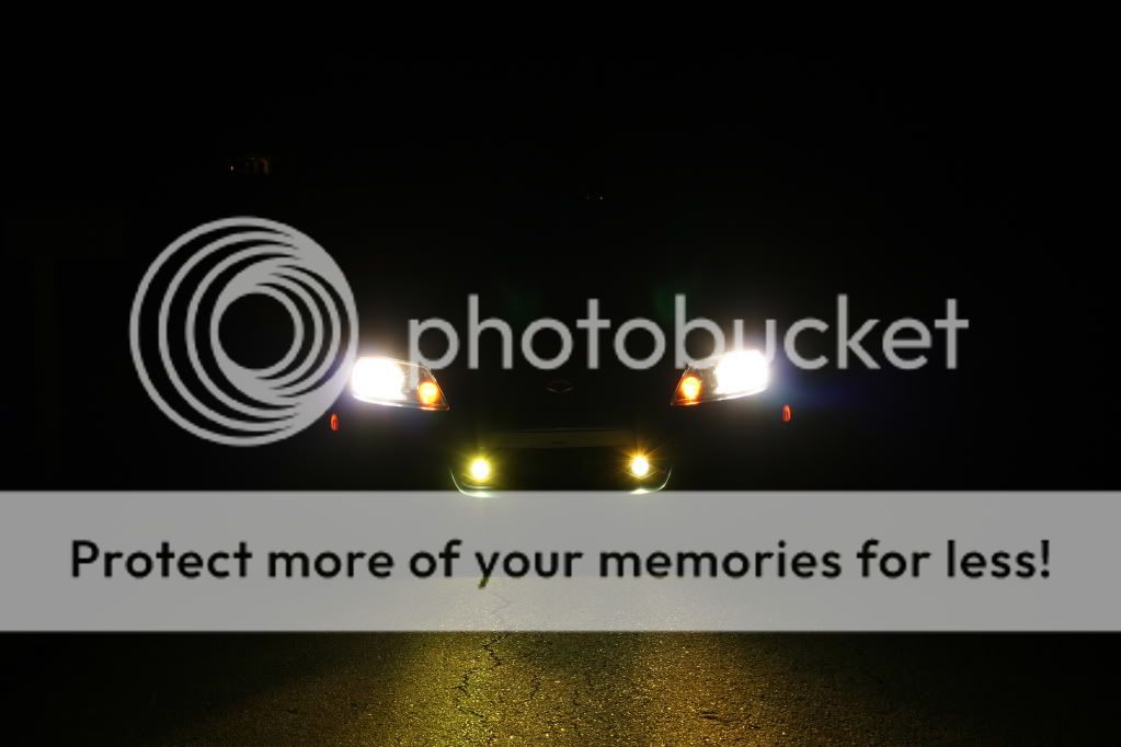 light020.jpg