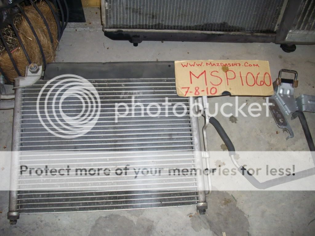 IMGP7120.jpg
