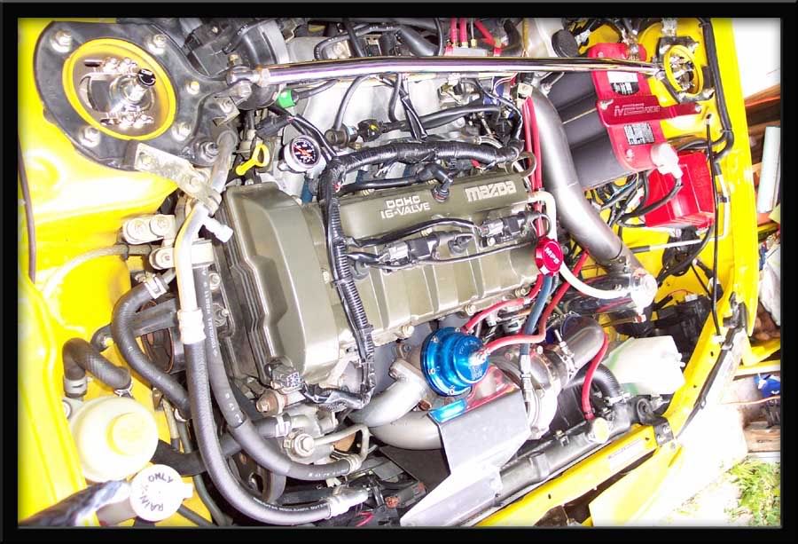 EngineBay05-03-2009copy.jpg