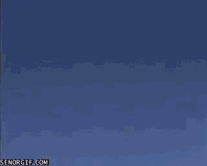 JK-jR2Q6o0-j0Qhwyptcuw2.gif