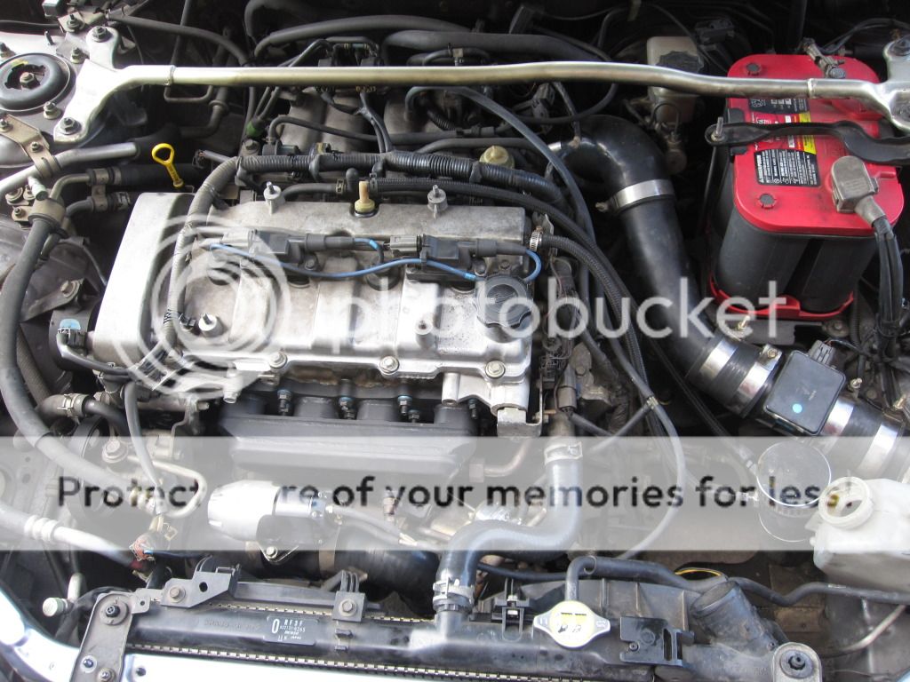 piping1.jpg