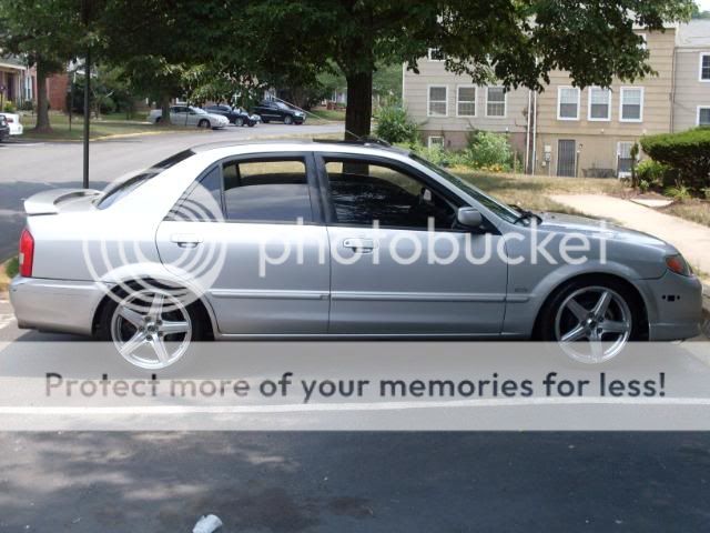 SDC10439.jpg