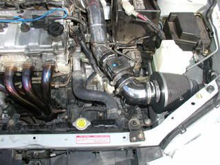 P1010023.jpg