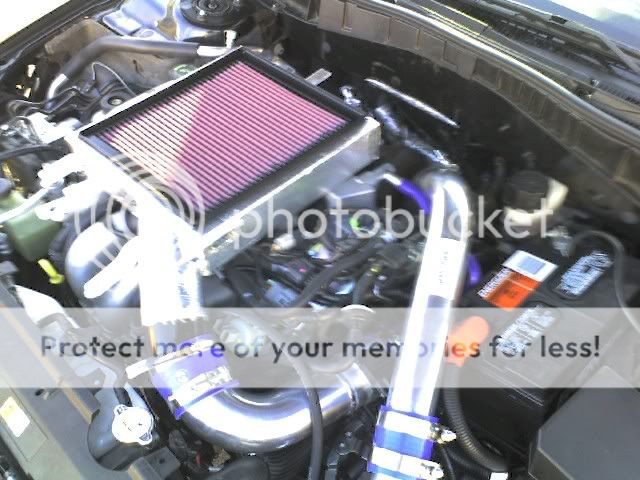 img003.jpg