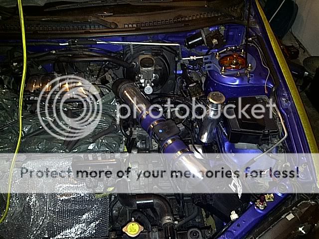 IMG-20110428-00011.jpg