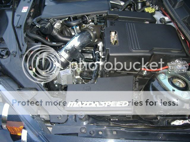 Picture126.jpg