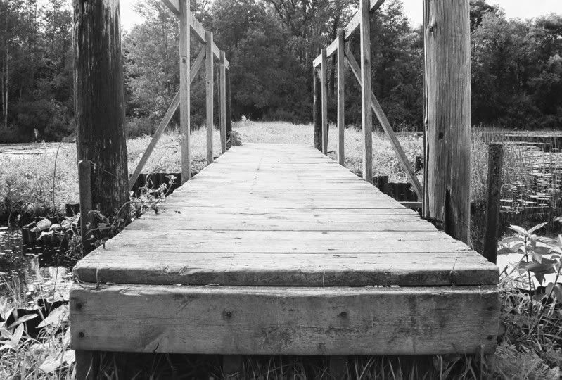 Grayscale9-22-2006-22.jpg