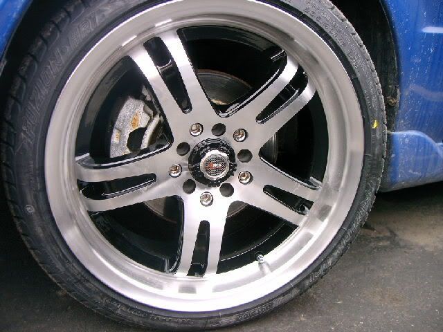 IMAG0260.jpg