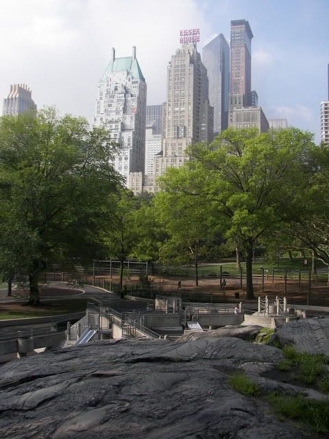 100_1097.jpg