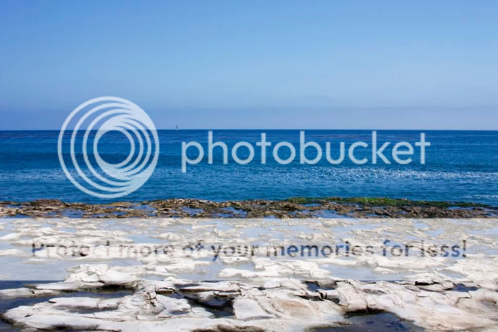 _MG_3226.jpg