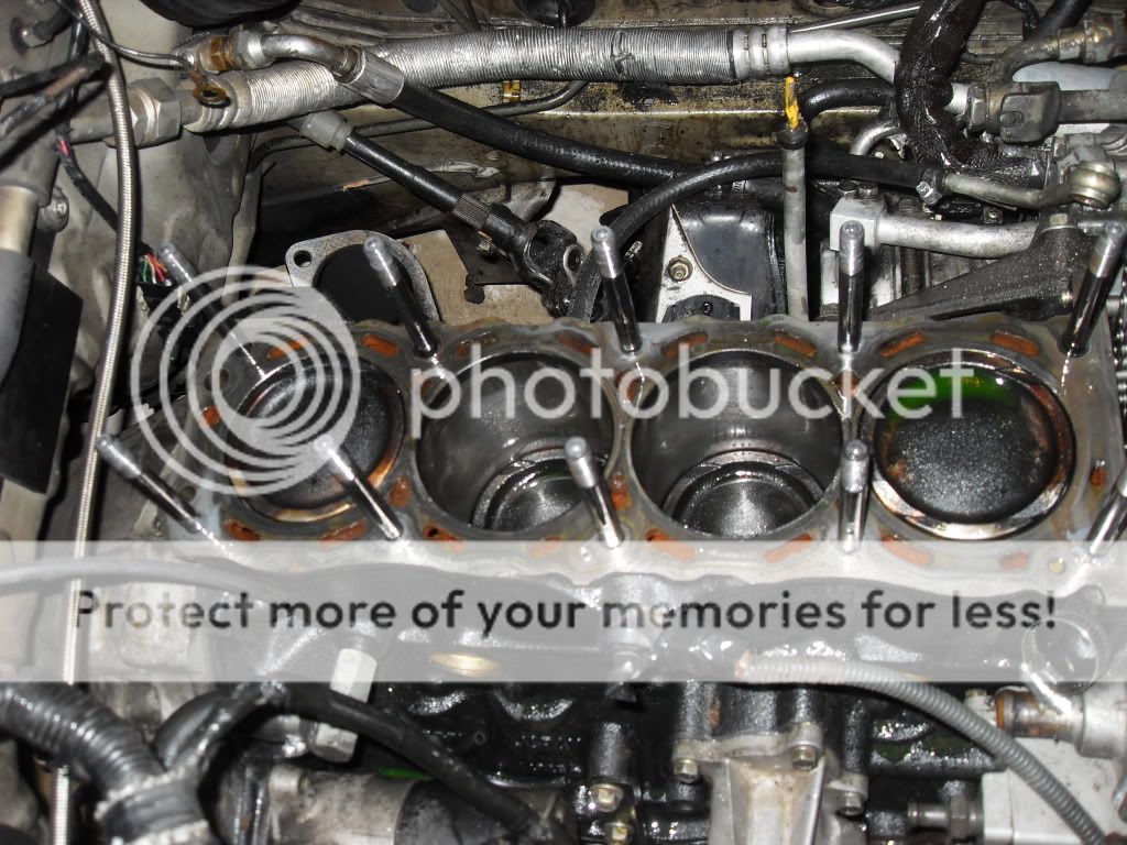 blownheadgasket2.jpg