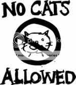 no_cats.jpg