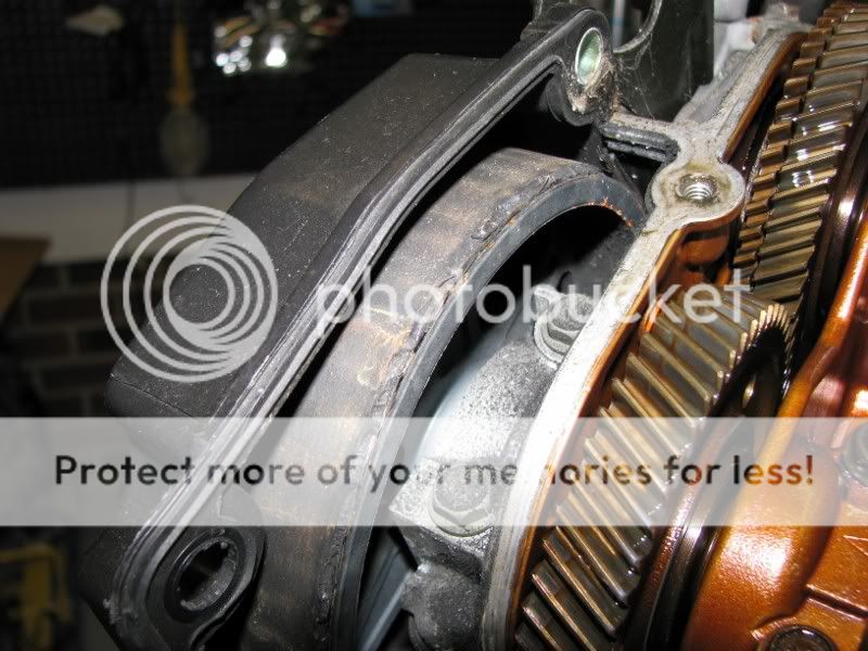 IMG_1432800x600.jpg