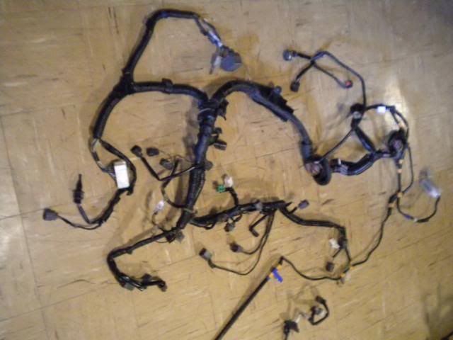 Enginewireharness2.jpg