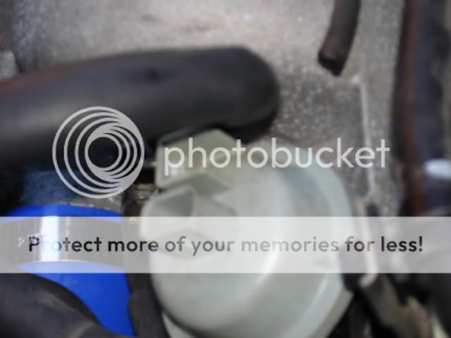 018-2.jpg
