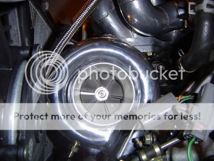 thumper3.jpg