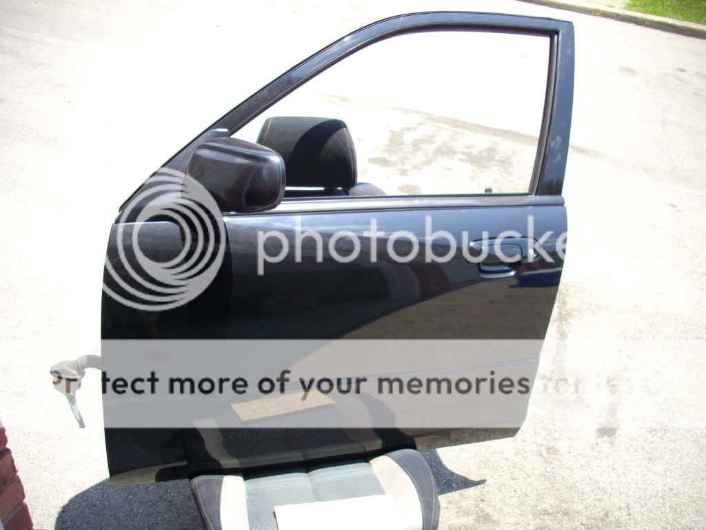 IMGP7131.jpg