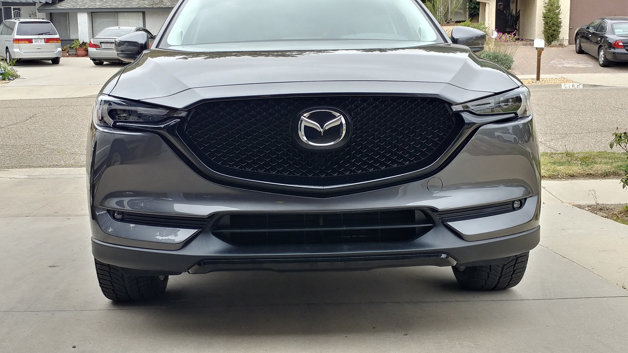 20180511_163011_HDR.jpg