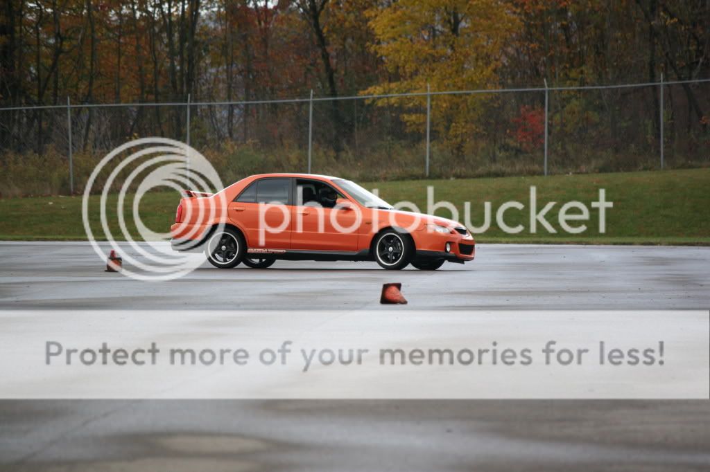 IMG_2341.jpg