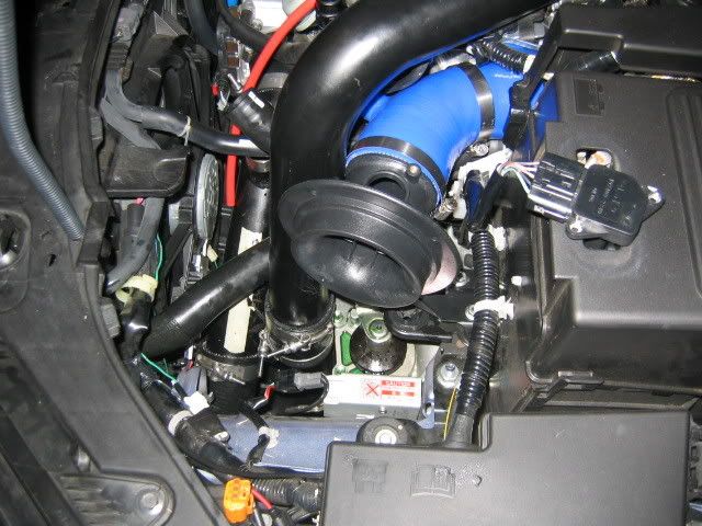 IMG_1459.jpg