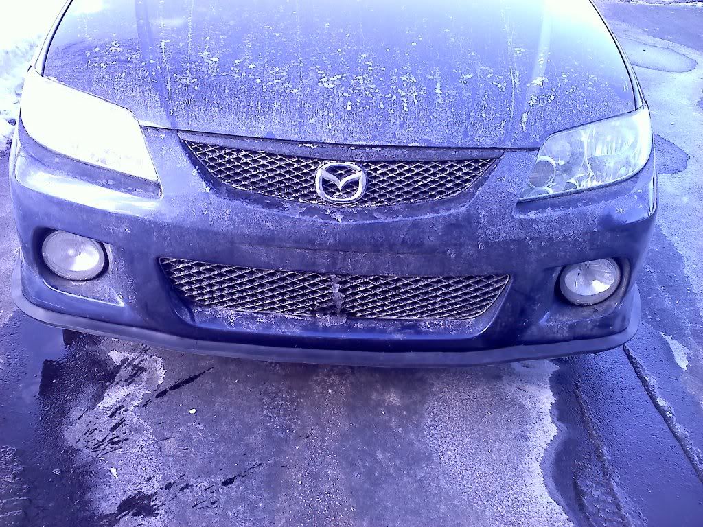 20110208133731.jpg