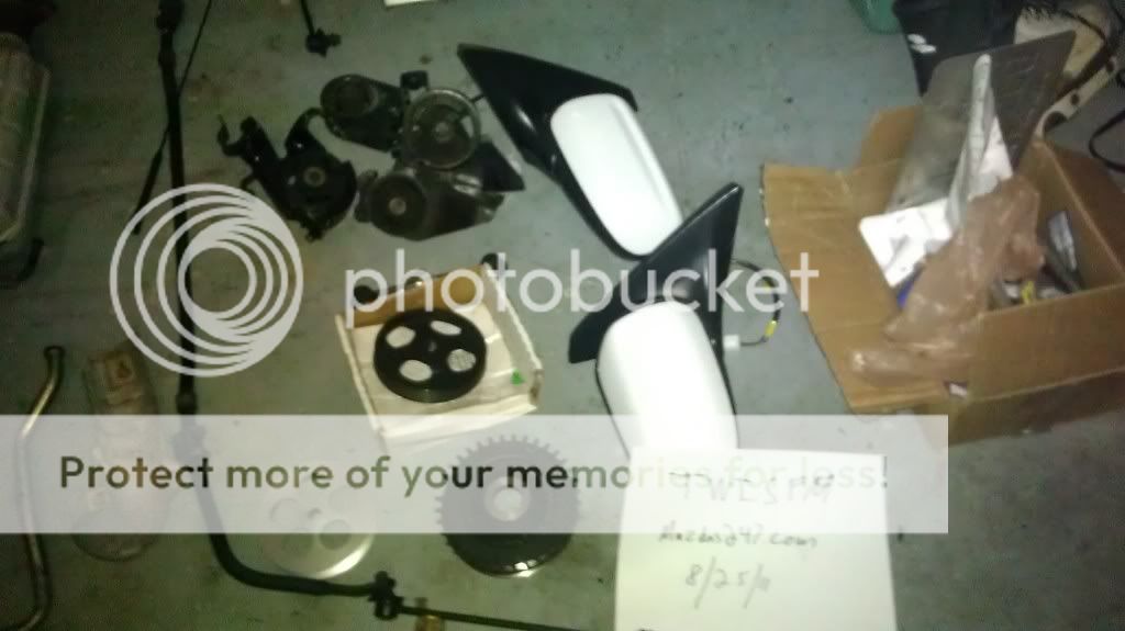 IMAG0256.jpg