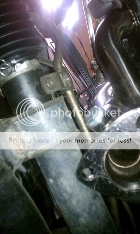 IMAG0166478x800.jpg